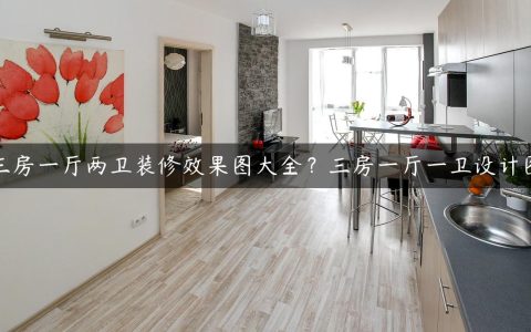 三房一厅两卫装修效果图大全？三房一厅一卫设计图