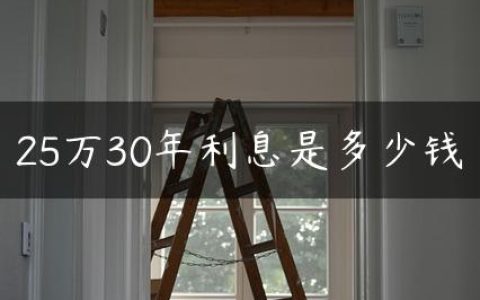 25万30年利息是多少钱
