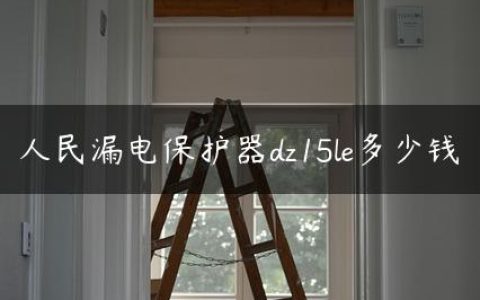 人民漏电保护器dz15le多少钱