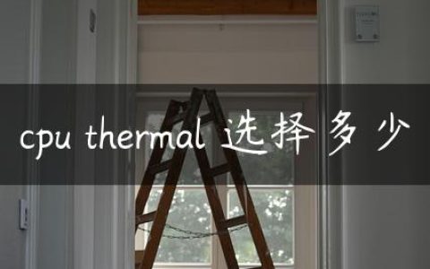 cpu thermal 选择多少