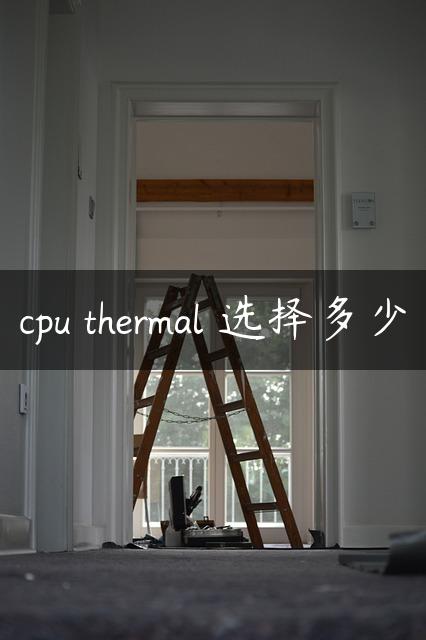 cpu thermal 选择多少